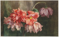 GG 012
<br/>
Dahlia's
<br/>
<em>Woutersen van Doesburgh, Elsa Louisa Hannelina (1875-1957)</em>